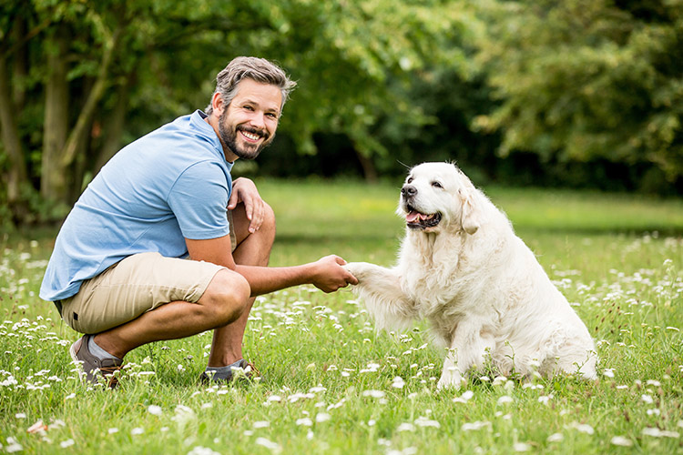 Allgemeine Kurse: Tierpsychologie