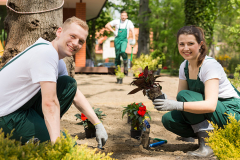 Gartengestaltung